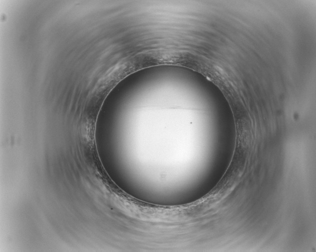 X0000087040044200704250950
