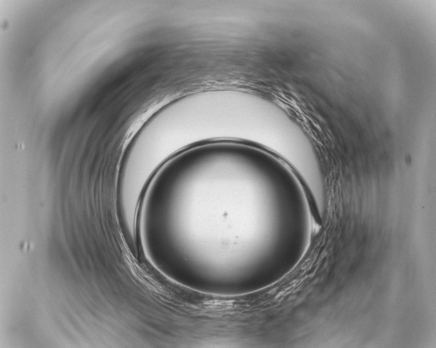 X0000087040052200704250949