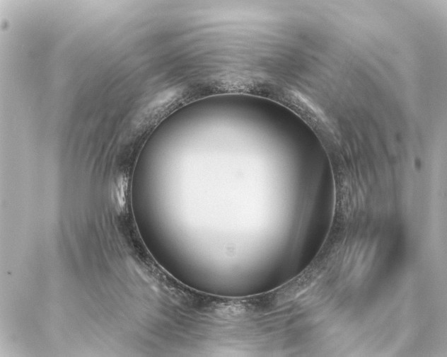 X0000087040075200704250949