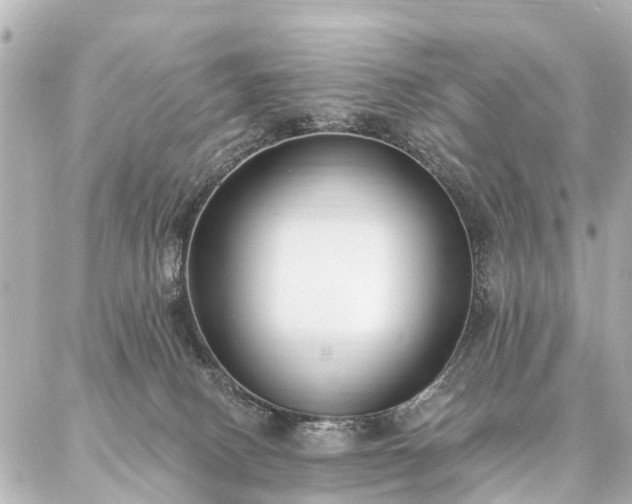 X0000087040082200704250949