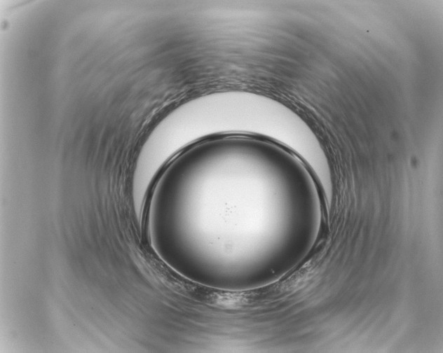 X0000087040088200704250950