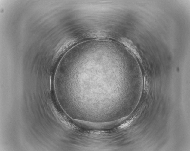 X0000087040109200704250949