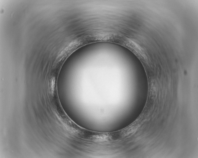 X0000087040118200704250949