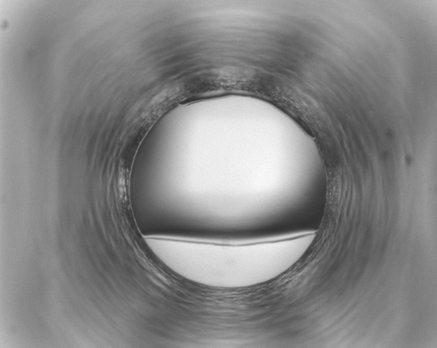 X0000087040137200704250948