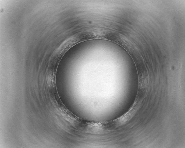 X0000087040140200704250948