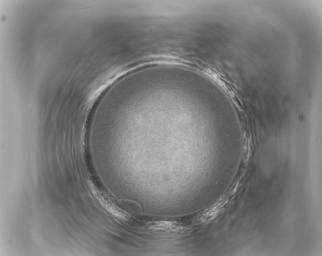 X0000087040151200704250947