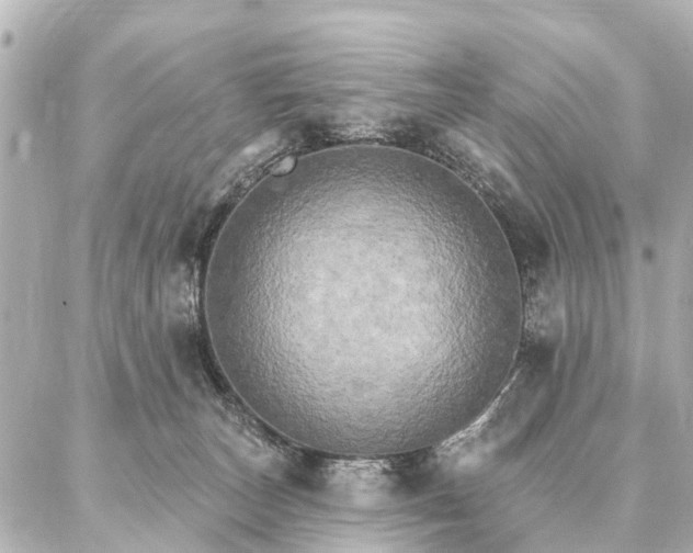 X0000087040179200704250948