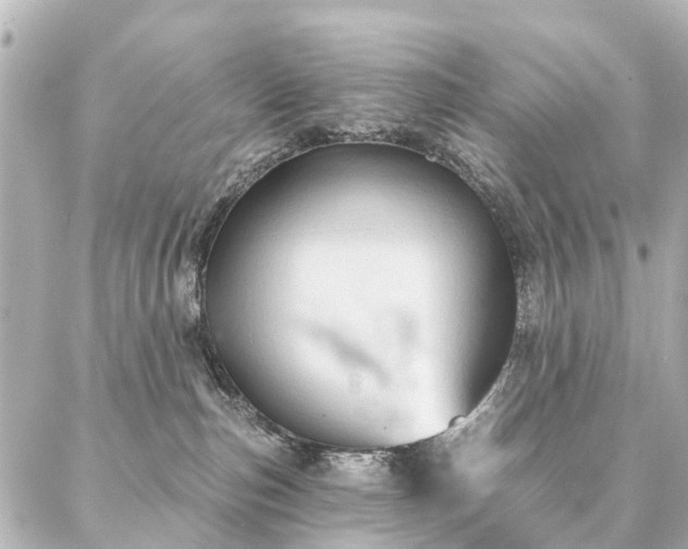 X0000087040187200704250948