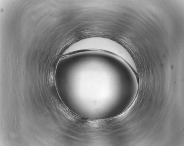 X0000087040190200704250948
