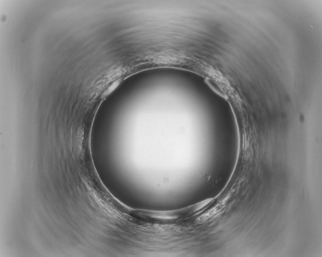 X0000087040201200704250947