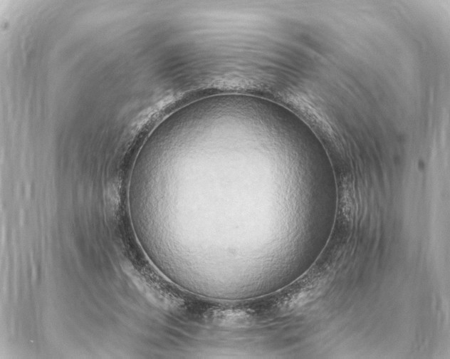 X0000087040208200704250947