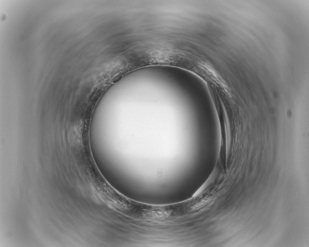 X0000087040217200704250947