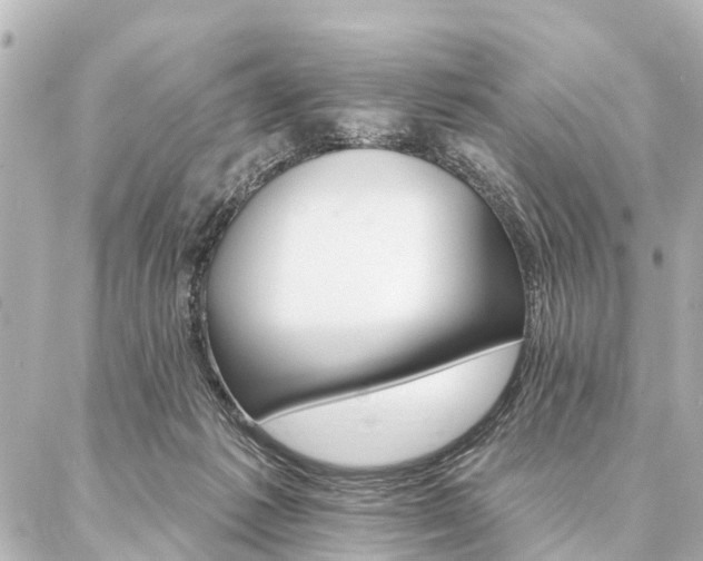 X0000087040221200704250947