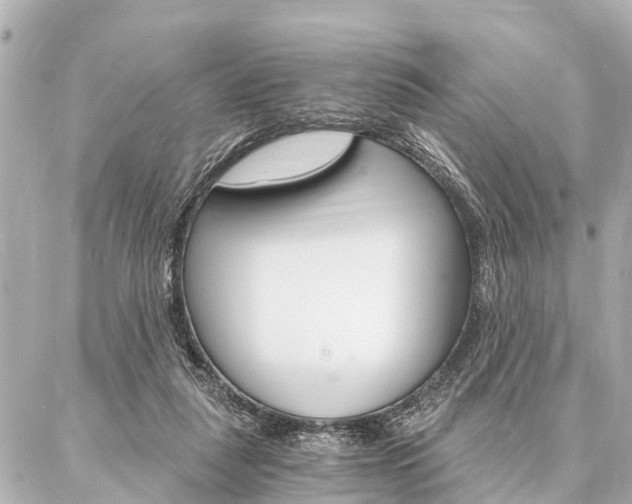 X0000087040259200704250946