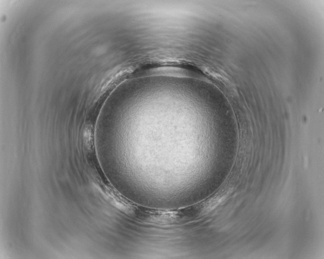 X0000087040288200704250947