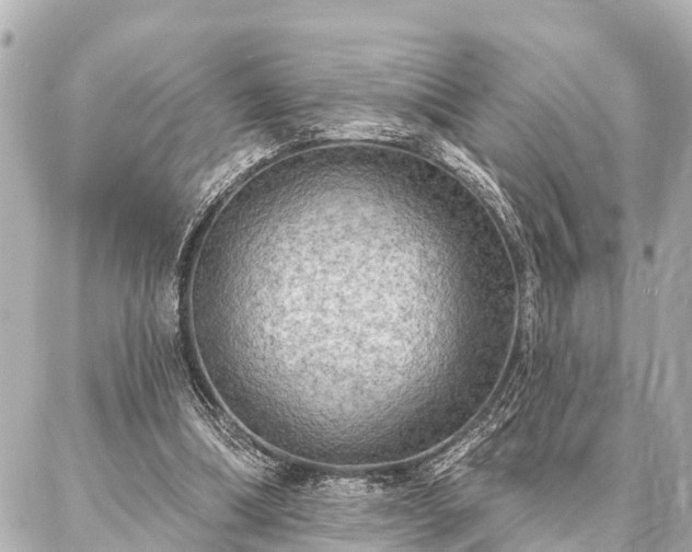 X0000087040298200704250946