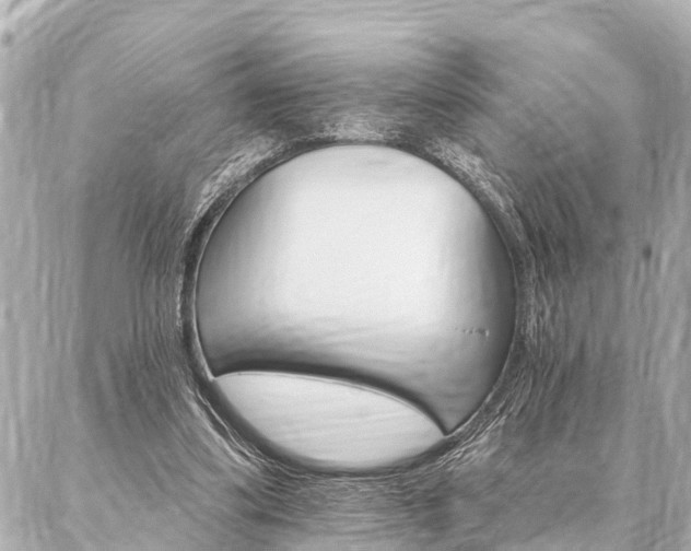 X0000087040299200704250946