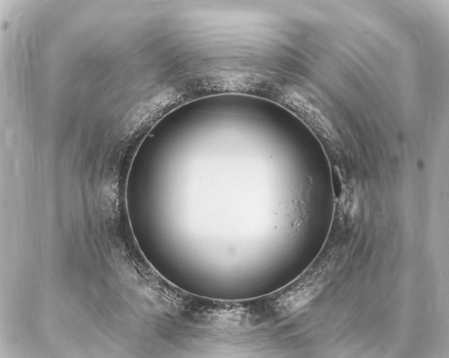 X0000087040306200704250945