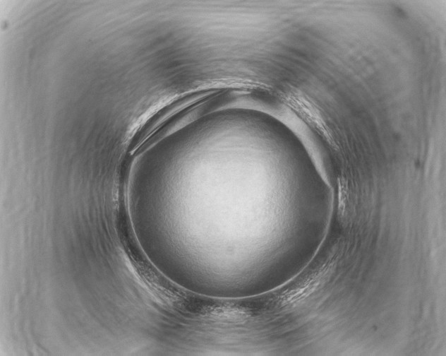 X0000087040348200704250944