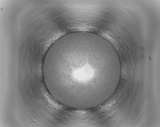 X0000087040394200704250944