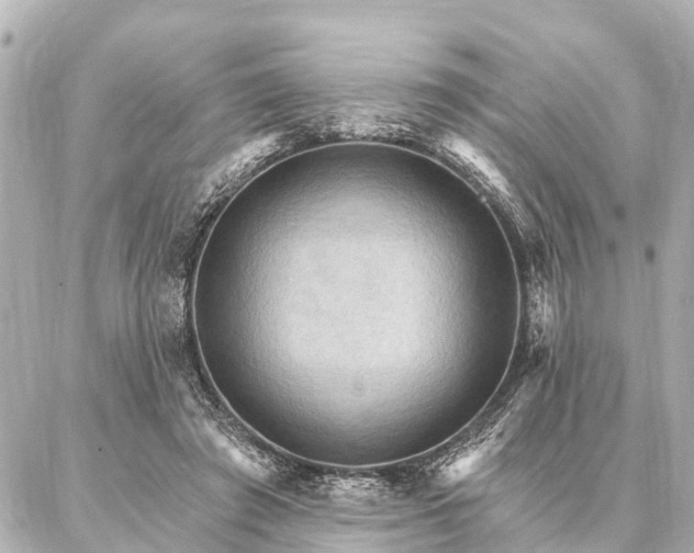 X0000087040401200704250944