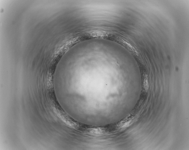 X0000087040411200704250944