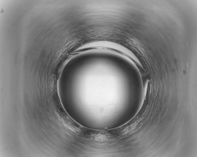 X0000087040412200704250944