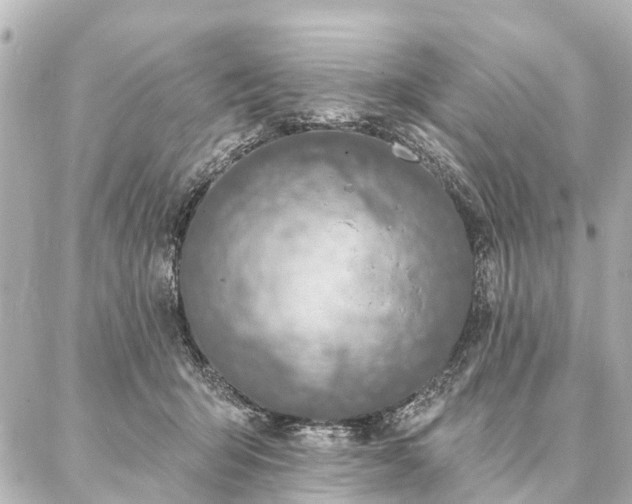 X0000087040415200704250944