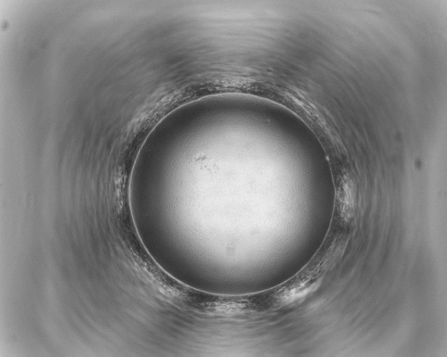 X0000087040462200704250943