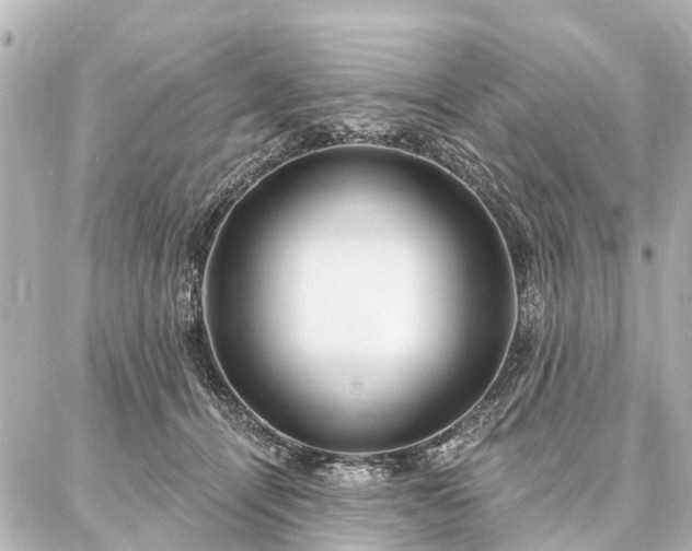 X0000087040464200704250943