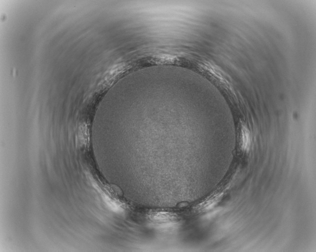 X0000087040467200704250943