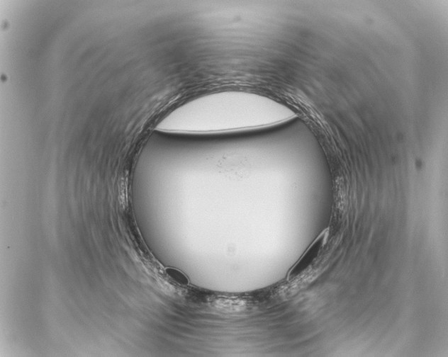 X0000087040471200704250943
