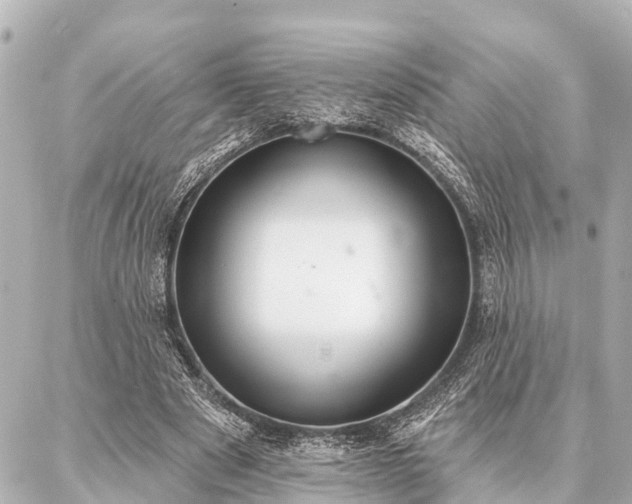 X0000087040489200704250943