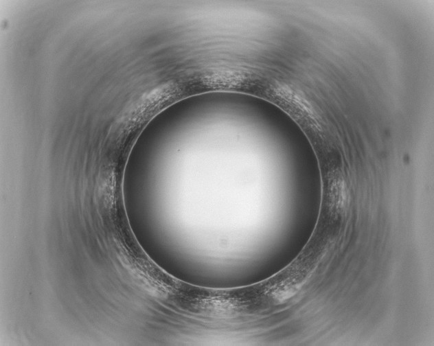 X0000087040498200704250942