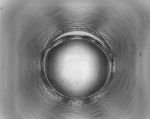 X0000087040512200704250942