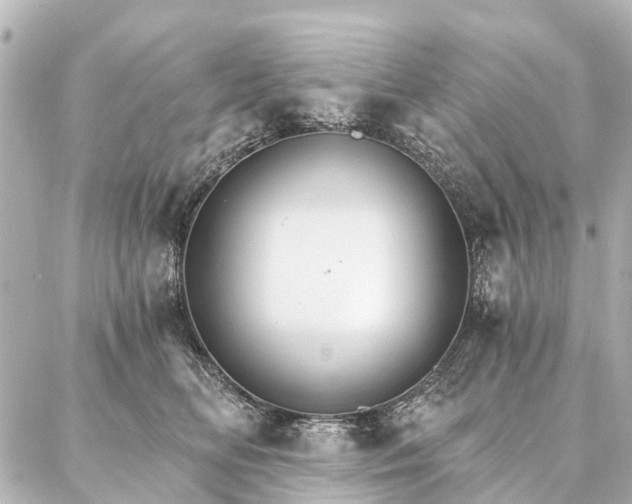 X0000087040518200704250942