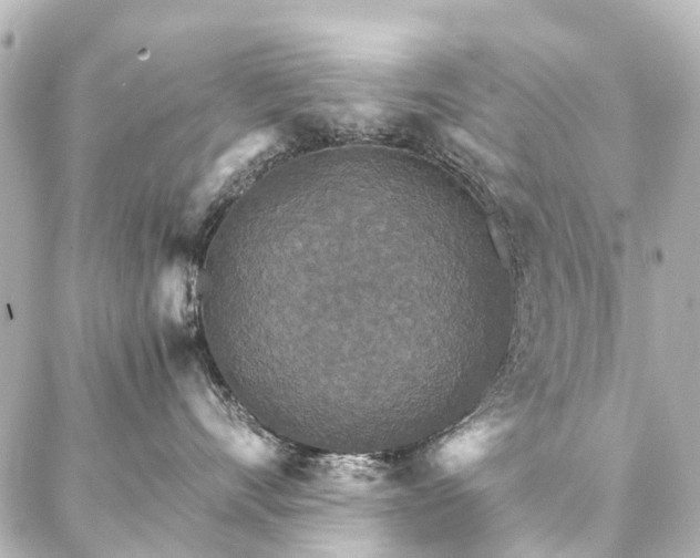 X0000087040528200704250942