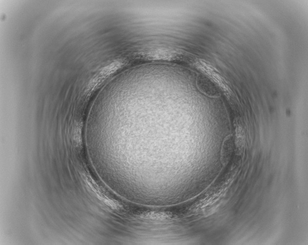 X0000087040537200704250941