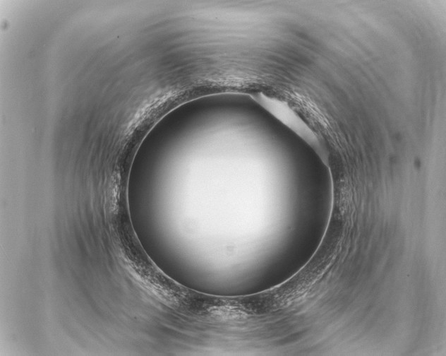X0000087040544200704250941