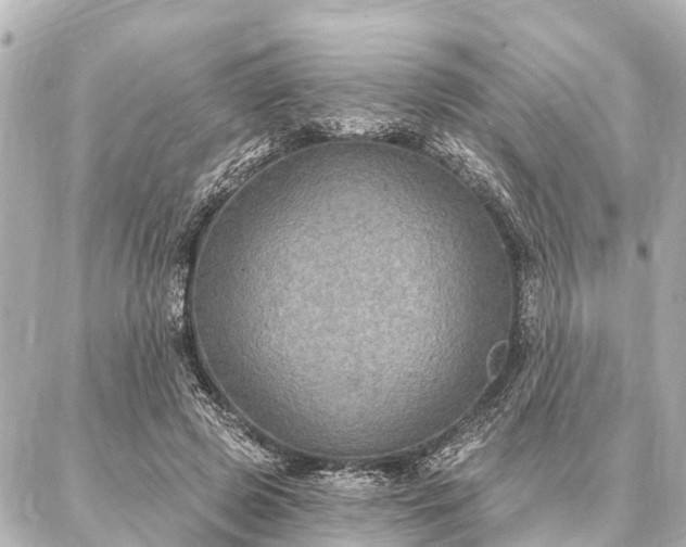 X0000087040545200704250941