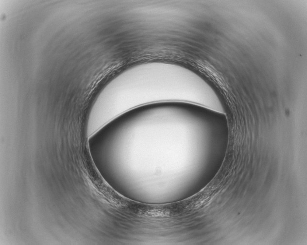 X0000087040546200704250941