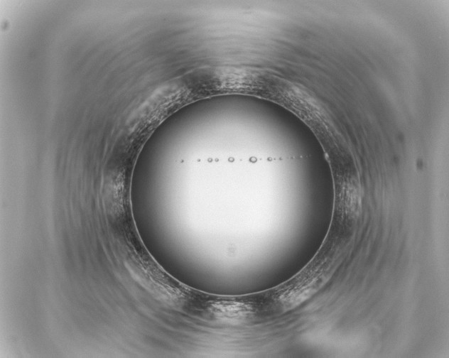 X0000087040557200704250942