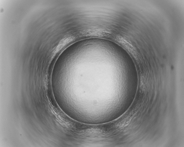 X0000087040578200704250941