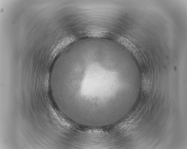 X0000087040586200704250941
