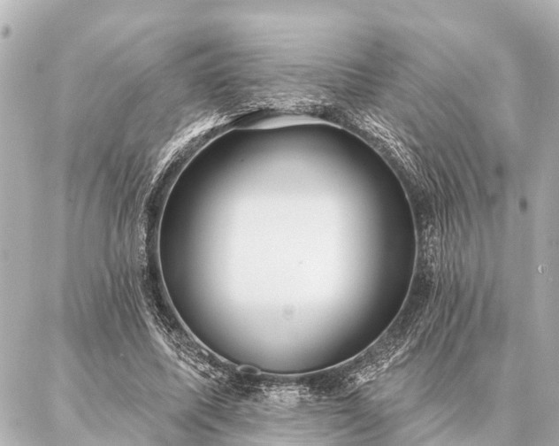 X0000087040587200704250941