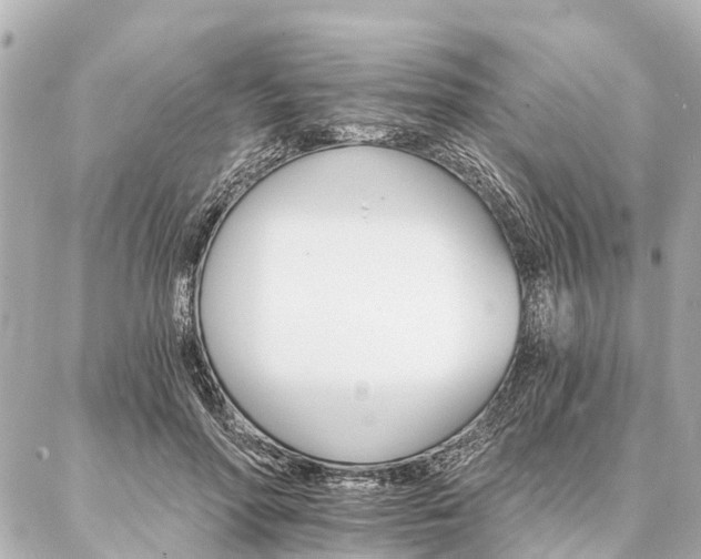 X0000087040598200704250941