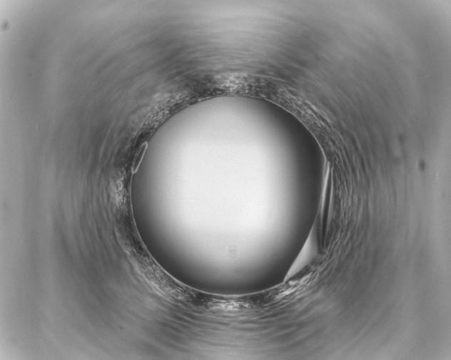 X0000087040611200704250941