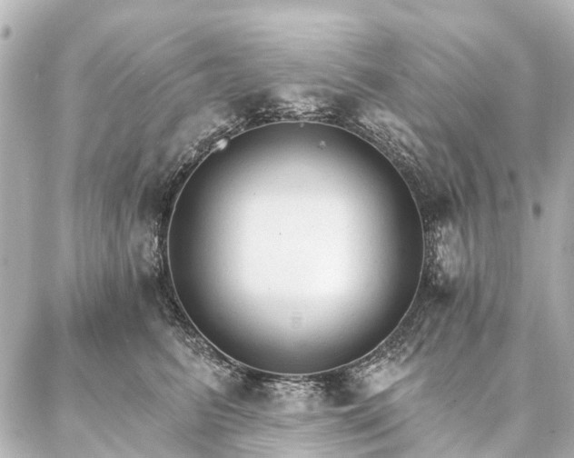 X0000087040615200704250940
