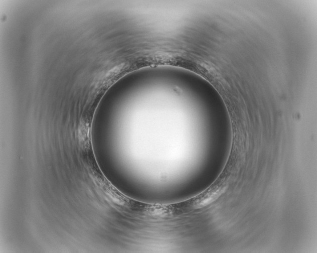 X0000087040624200704250940