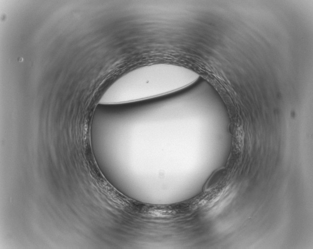 X0000087040657200704250940